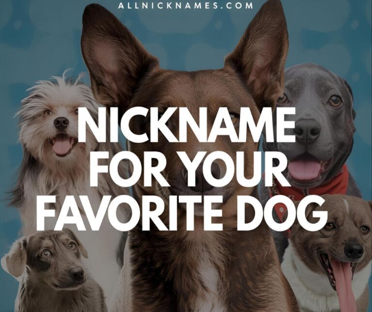 Nickname for Your Favorite Dog